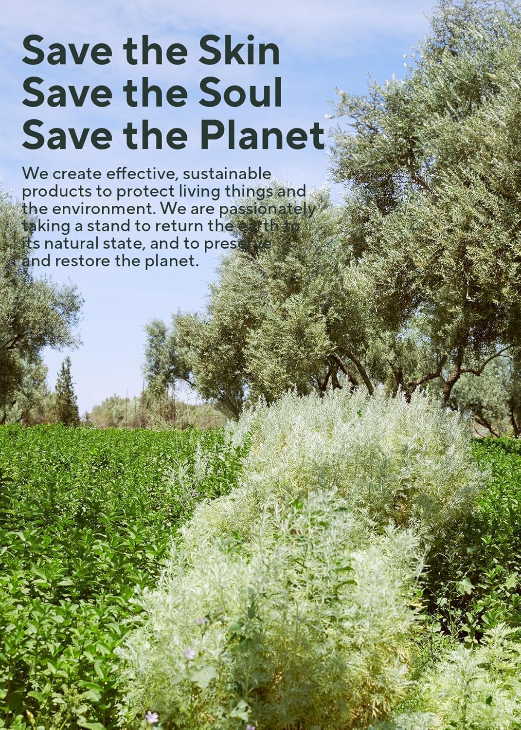 Rosemary Scalp Scaling Trial Kit