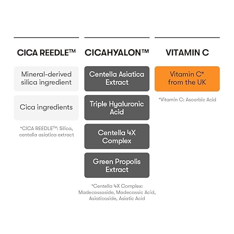 Vita-Light Reedle Shot 100 [50ml]