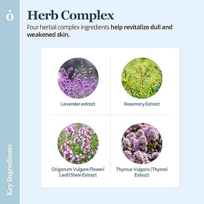 Revitalizing Toner Pads [60 pads]