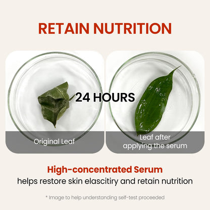 Wrinkle Supreme Cream 50ml