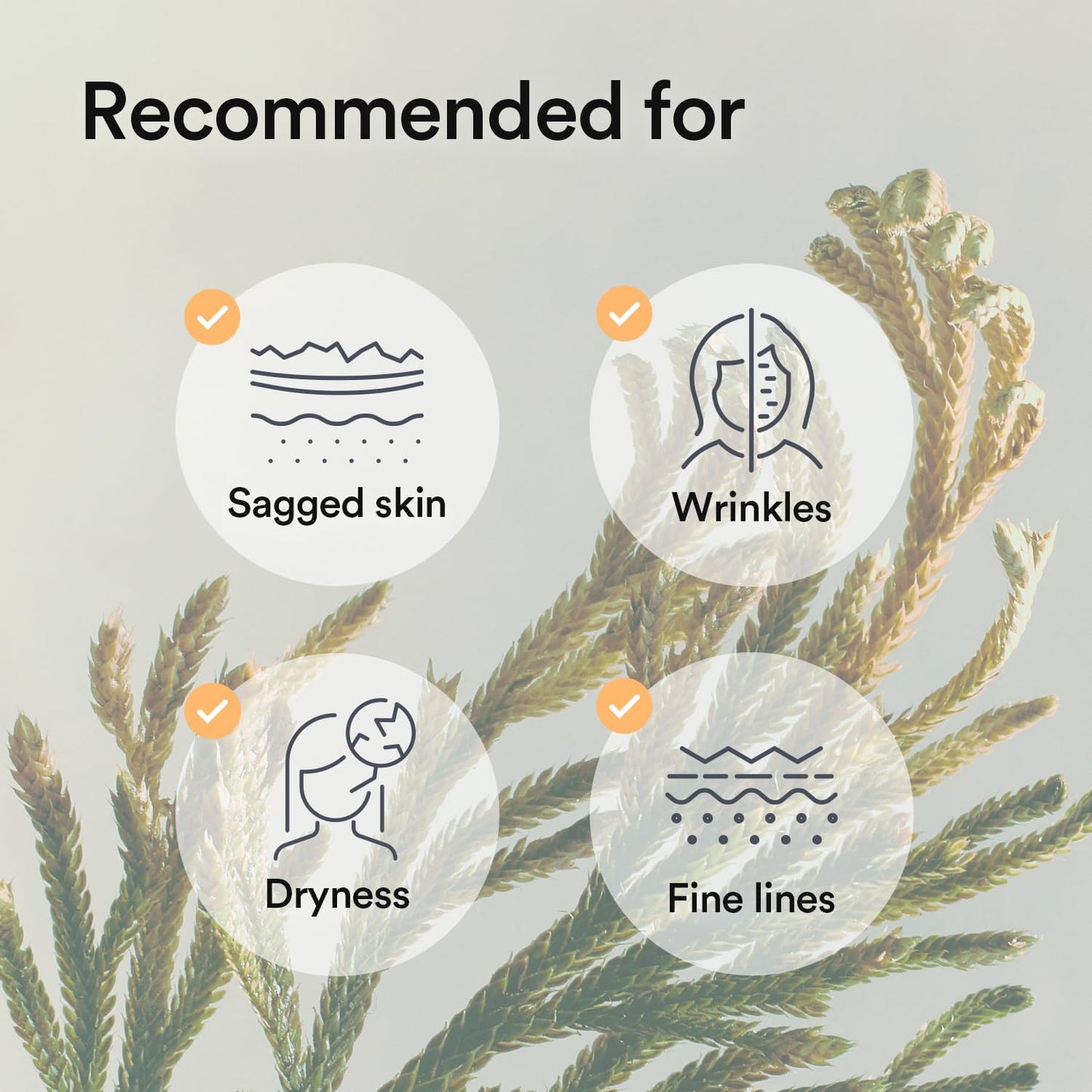 Collagen Gel Mask Jericho Rose Jelly (1ea)