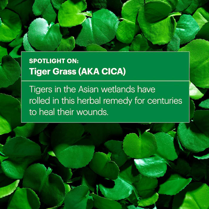 Dr. Jart+	Cicapair Tiger Grass Color Correcting Treatment [50ml]