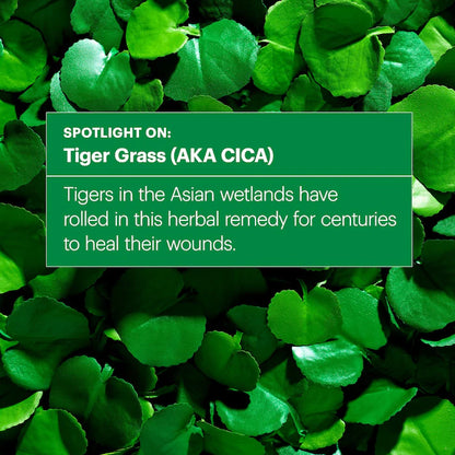 Dr. Jart+	Cicapair Tiger Grass Color Correcting Treatment [50ml]